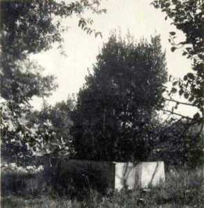 Belge008