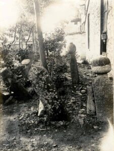 Foto011