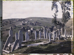 A36568S Constantinople(actuelleIstanbul)-TurquieDallesetcippesfunerairesducimetiered'Eyupetaufond-maisons