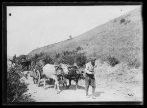 Kağnı ve Fayton 10 Kağnı ve Fayton