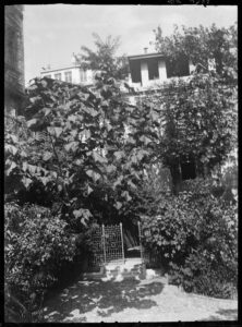 Institut français d'études anatoliennes ; Vue du jardin