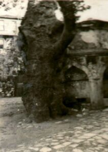 ÇınarlıÇeşme (2)