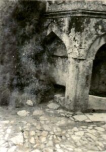 ÇınarlıÇeşme (6)