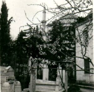 FatihCamiiHaziresi (12)