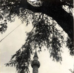 GüzelceKasımPaşa (2)