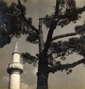 Haşimi Emir Osman Camii (13)