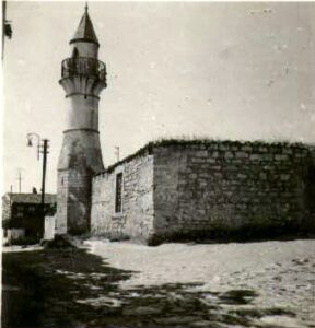 AliFakihCamii (11)