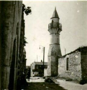 AliFakihCamii (12)