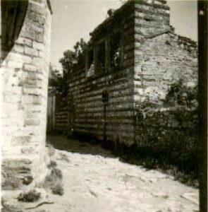 AliFakihCamii (2)