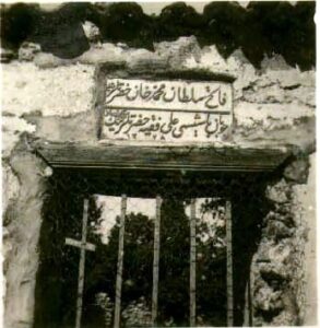 AliFakihCamii (3)