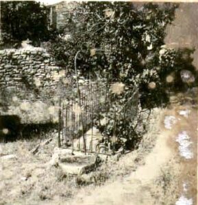 AliFakihCamii (4)