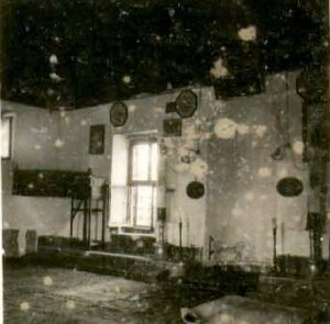 AliFakihCamii (8)