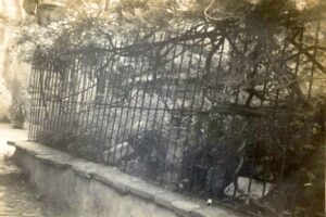 PaşaBabaTekkesi (1)