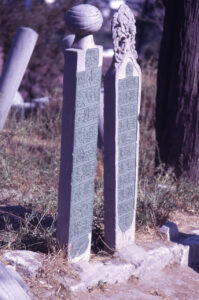Paolo_Monti_-_Servizio_fotografico_(Istanbul,_1962)_-_BEIC_6333011