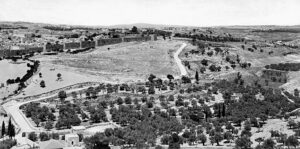 26521FA1-1A92-43F0-ABC8-37D8253040DB