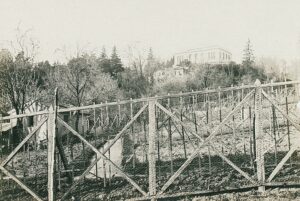 10986659_10153611511576412_5668563897842544074_o