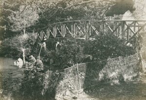 10987372_10153611509196412_4542548889109211477_o