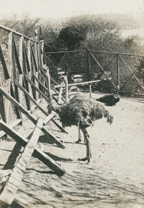 11011268_10153611515741412_7538828844820408975_o