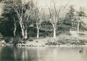 11017046_10153611510051412_1723094248686837708_o