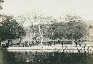 11143603_10153611518681412_2083617678960298410_o