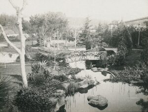 11411765_10153611516206412_7388527666737775200_o