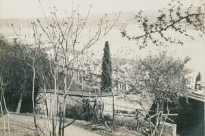 11411797_10153611508411412_6508860825497798438_o