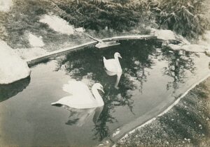 11411806_10153611515631412_5830567329749594227_o