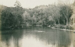 11411956_10153611510041412_365592511977861571_o