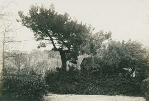 11539080_10153611511541412_2024665906782628680_o