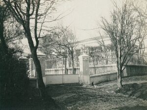 11539081_10153611516996412_4398524537376724588_o