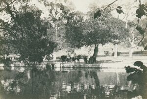 11698998_10153611518916412_3412830971391133861_okağıthane