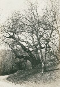 11703441_10153611511176412_9203681679550513773_o