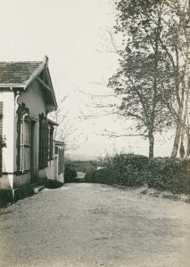 11708050_10153611513176412_9012149565155497456_o