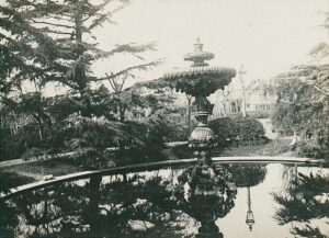 11713837_10153611516891412_2534561089163280374_o