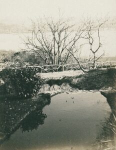 11741065_10153611508261412_6639161284449592041_o