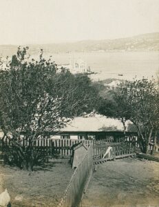 11741081_10153611507461412_8473549357323120335_o