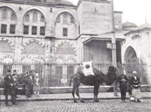 Kılıç Ali Paşa Camii ve Deve
