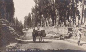 Üsküdar'da Mezarlık Tunusbağı-Çiçekçi Arası