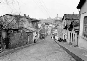 Zeytinbunu Seyitnizam Mahallesi