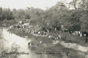 Nilüfer Çayı / Geçit