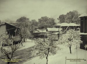 Timurtaş Paşa'dan Bakış