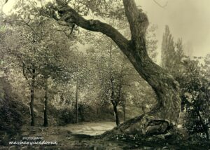 Temenyeri / Hünkarköşkü Yolu