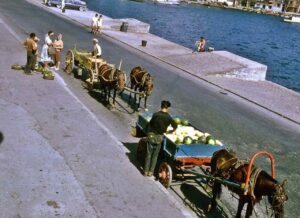 Tarabya Sahilinde Seyyar Manavlar