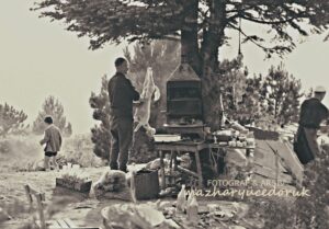 Sarı Alan / Uludağ