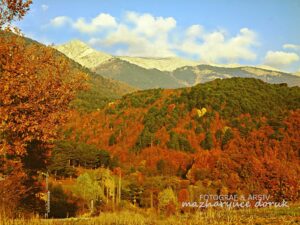 Soğukpınar / Uludağ