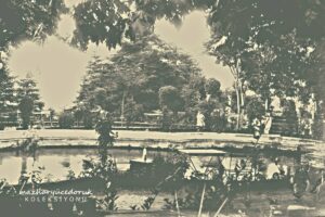 Kükürtlü Bahçesi