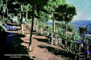 Hüsnügüzel Bahçesi