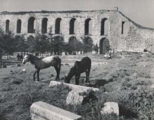 Bozdoğan Kemeri Önünde Atlar