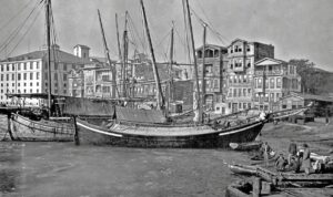 Beşiktaş Sahilinde Çektirmeler 20 Beşiktaş Sahilinde Çektirmeler