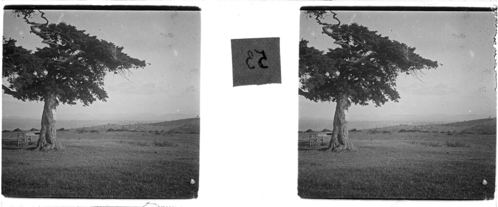 Images